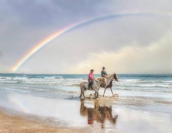 couple on beach riding horses