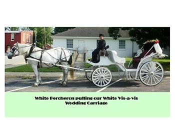 Carolina Carriages Carolina Carriages