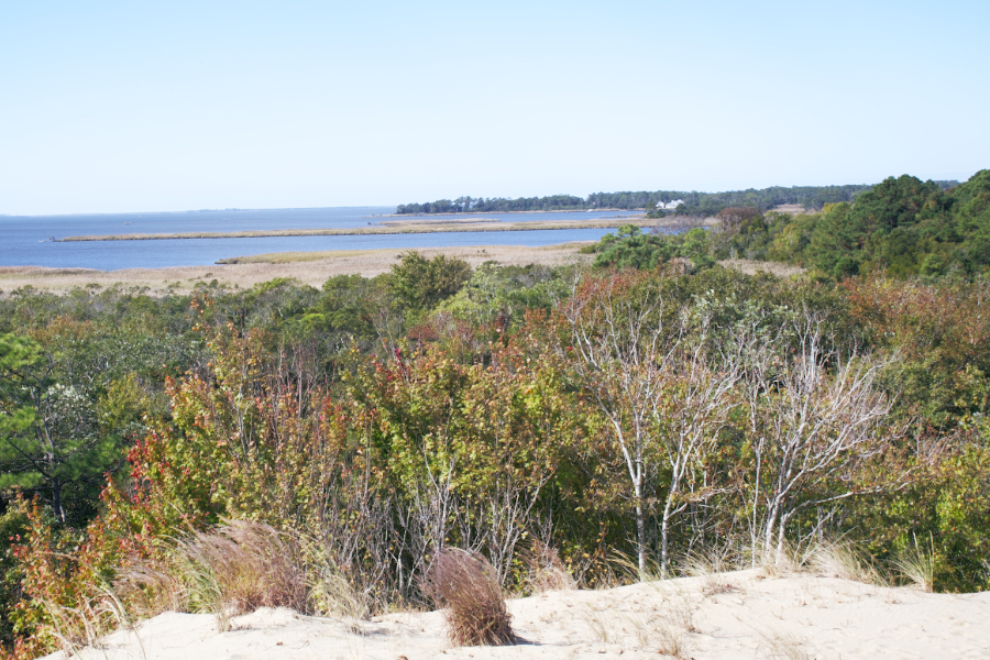 The fall colors are just beginning to show at Run Hill looking across Buzzard Bay.