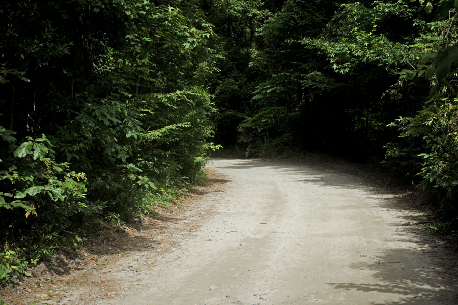 Old Nags Head Woods Road is perfect for a fat tire bike ride. Old Nags Head Woods Road is perfect for a fat tire bike ride.