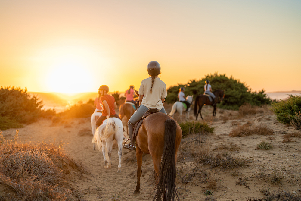 horses on beach